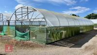 53' X 70' TWIN BAY NORTHERN POLYTUNNEL - 19