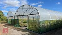 53' X 70' TWIN BAY NORTHERN POLYTUNNEL