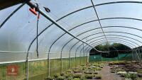 53' X 70' TWIN BAY NORTHERN POLYTUNNEL - 11