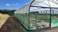 53' X 70' TWIN BAY NORTHERN POLYTUNNEL - 15