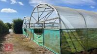 53' X 70' TWIN BAY NORTHERN POLYTUNNEL - 16