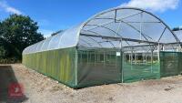 106' X 72' FOUR BAY NORTHERN POLYTUNNEL - 2