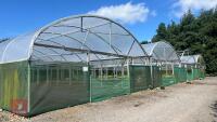 106' X 72' FOUR BAY NORTHERN POLYTUNNEL - 3