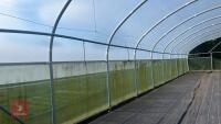 106' X 72' FOUR BAY NORTHERN POLYTUNNEL - 7