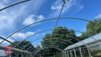 106' X 72' FOUR BAY NORTHERN POLYTUNNEL - 12