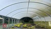 106' X 72' FOUR BAY NORTHERN POLYTUNNEL - 15