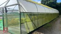 106' X 72' FOUR BAY NORTHERN POLYTUNNEL - 17