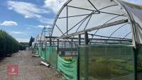 106' X 72' FOUR BAY NORTHERN POLYTUNNEL - 19