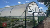 106' X 72' FOUR BAY NORTHERN POLYTUNNEL - 20