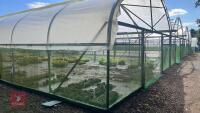 106' X 72' FOUR BAY NORTHERN POLYTUNNEL - 21