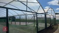 106' X 72' FOUR BAY NORTHERN POLYTUNNEL - 25