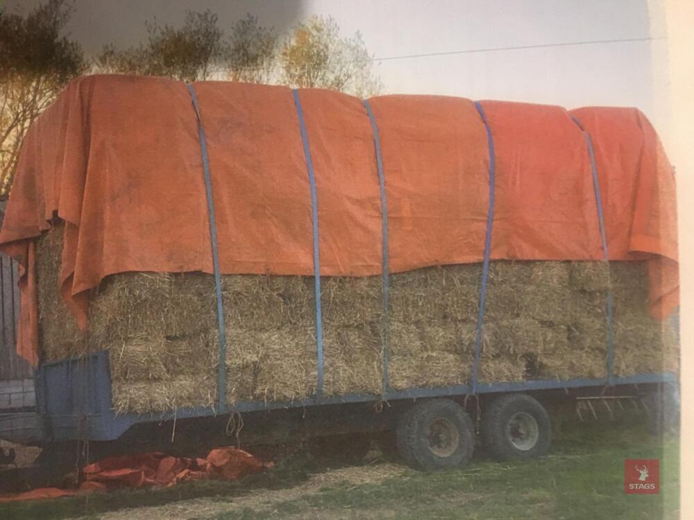 430 SMALL BALES OF WHEAT STRAW