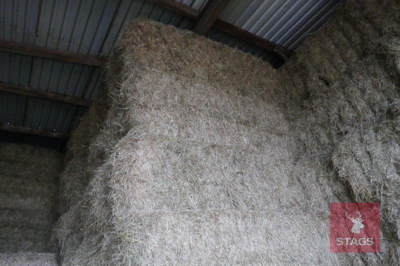 20 80CM X 90CM X 2.4M D1010 HAY BALES