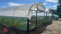 43' X 72' ORIGINAL NORTHERN POLYTUNNEL - 3