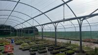 43' X 72' ORIGINAL NORTHERN POLYTUNNEL - 4