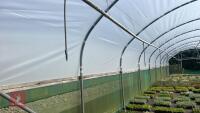 43' X 72' ORIGINAL NORTHERN POLYTUNNEL - 7