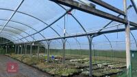 43' X 72' ORIGINAL NORTHERN POLYTUNNEL - 14