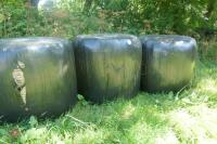 4 ROUND BALES(BIDDING FOR ALL 4 BALES) - 2