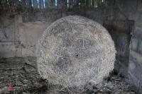 4 ROUND BALES(BIDDING FOR ALL 4 BALES) - 5