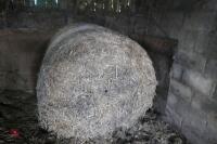 4 ROUND BALES(BIDDING FOR ALL 4 BALES) - 6