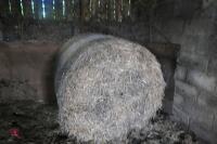 4 ROUND BALES(BIDDING FOR ALL 4 BALES) - 7