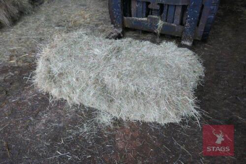 50 CONV BALES OF HAY (BIDDING ON WHOLE LOT)