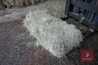 50 CONV BALES OF HAY (BIDDING ON WHOLE LOT) - 3