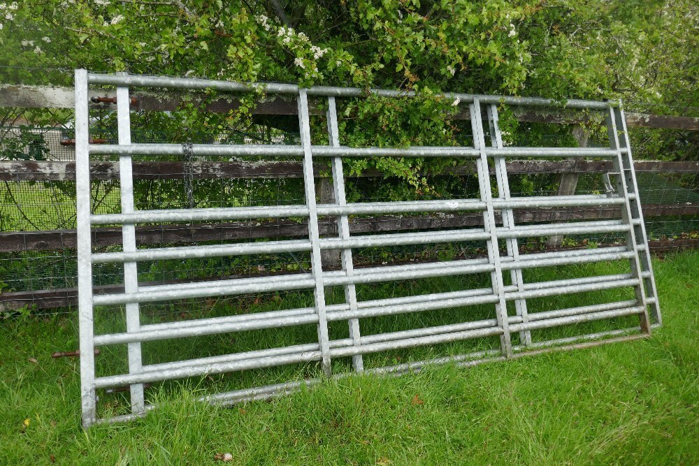 2 IAE 10' GALV CATTLE AND SHEEP GATES