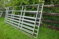 2 IAE 10' GALV CATTLE AND SHEEP GATES - 2