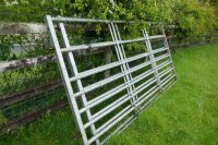 2 IAE 10' GALV CATTLE AND SHEEP GATES - 3