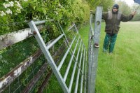 2 IAE 10' GALV CATTLE AND SHEEP GATES - 4