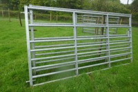 2 IAE 10' GALV CATTLE AND SHEEP GATES