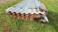 36 X 8' SHEETS OF CORRUGATED TIN - 5