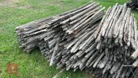 16 ROLLS OF CHESTNUT FENCING - 7