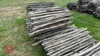 14 ROLLS OF CHESTNUT FENCING - 11