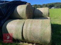 10 ROUND BALES OF HAY (BIDS PER BALE) - 2