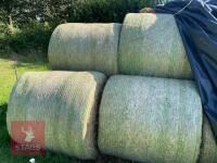 10 ROUND BALES OF HAY (BIDS PER BALE) - 3