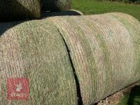 10 ROUND BALES OF HAY (BIDS PER BALE) - 4