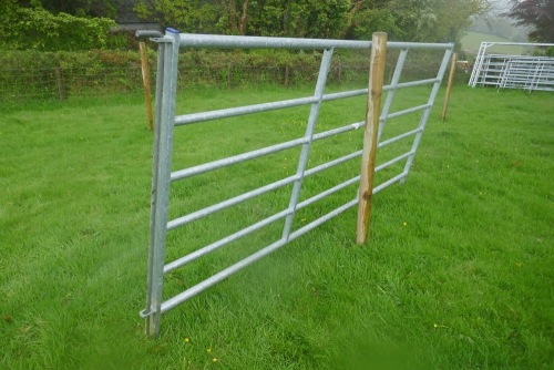 1 IAE 10' GALVANISED CATTLE HURDLE