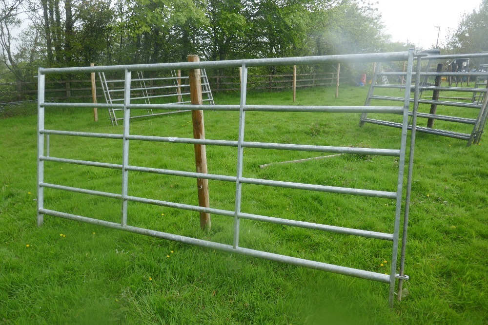 1 IAE 10' GALVANISED CATTLE HURDLE