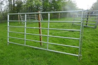 1 IAE 10' GALVANISED CATTLE HURDLE - 2