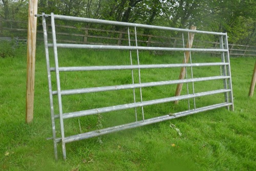 2 IAE 10' GALVANISED CATTLE HURDLES