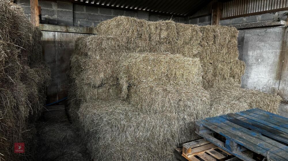 100 BALES OF MEADOW HAY (BIDS FOR ALL BALES)