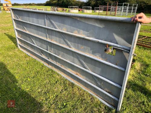 10' x 3' 8'' SHEETED GATE (135)