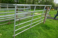 1 IAE 10' GALVANISED CATTLE HURDLE - 3