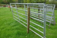 1 IAE 10' GALVANISED CATTLE HURDLE - 4