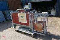 SHEARWELL SHEEP EID 3 WAY DRAFTING CRATE - 6