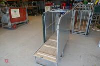 SHEARWELL DOCKING/SCANNING CRATE (5) - 4