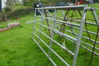 2 IAE 10' GALVANISED CATTLE HURDLES - 3