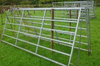 2 IAE 10' GALVANISED CATTLE HURDLES - 4